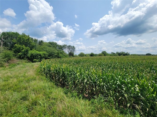 2365 John Brown Rd, Princeton, KS 66078 - photo 12