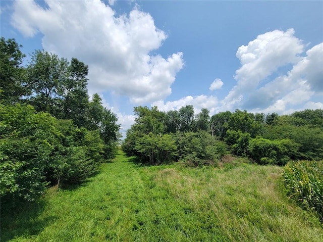2365 John Brown Rd, Princeton, KS 66078 - photo 15
