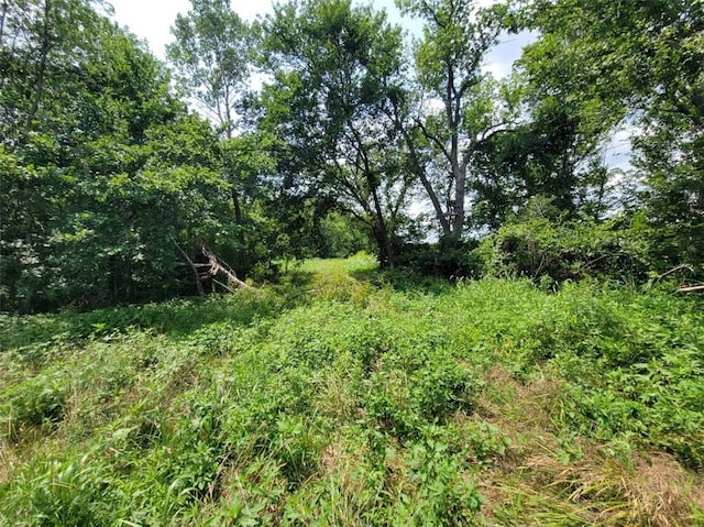 2365 John Brown Rd, Princeton, KS 66078 - photo 17