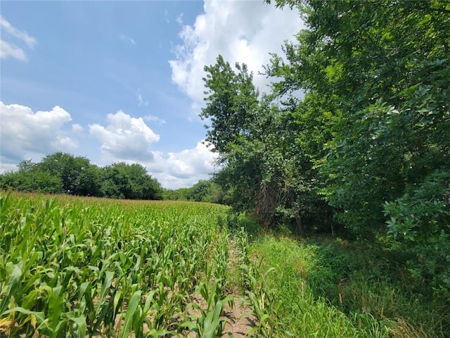 2365 John Brown Rd, Princeton, KS 66078 - photo 18