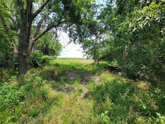 2365 John Brown Rd, Princeton, KS 66078 - photo 19
