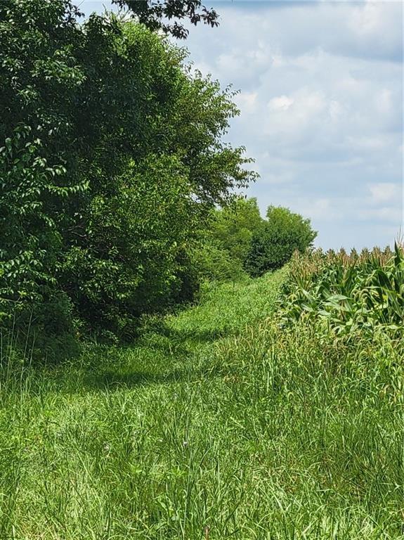 2365 John Brown Rd, Princeton, KS 66078 - photo 21