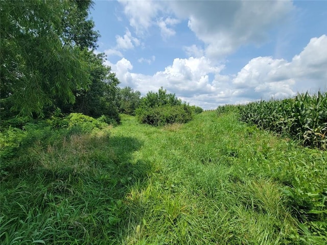 2365 John Brown Rd, Princeton, KS 66078 - photo 22