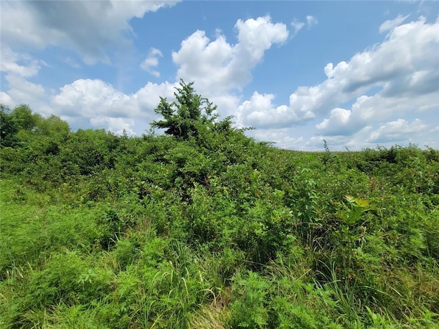 2365 John Brown Rd, Princeton, KS 66078 - photo 23