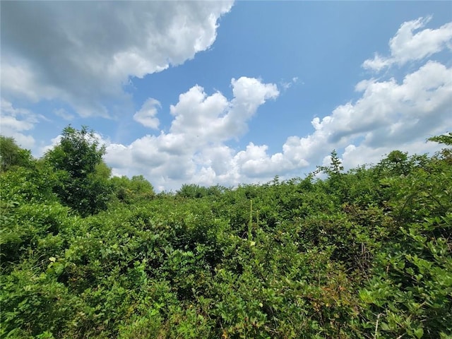 2365 John Brown Rd, Princeton, KS 66078 - photo 25