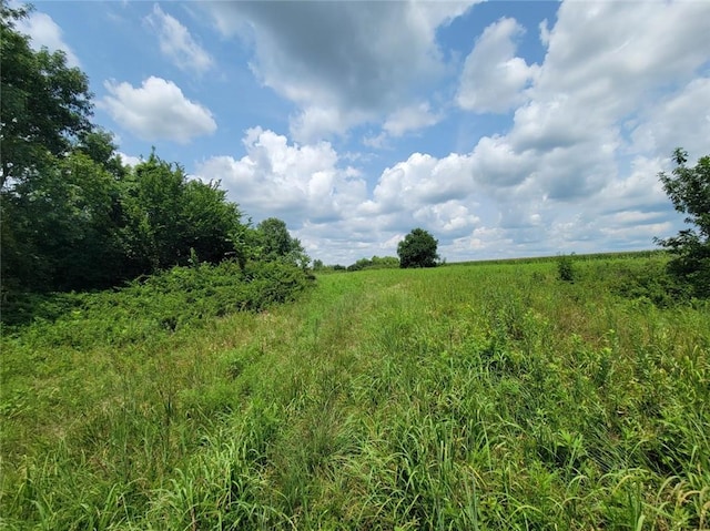 2365 John Brown Rd, Princeton, KS 66078 - photo 28