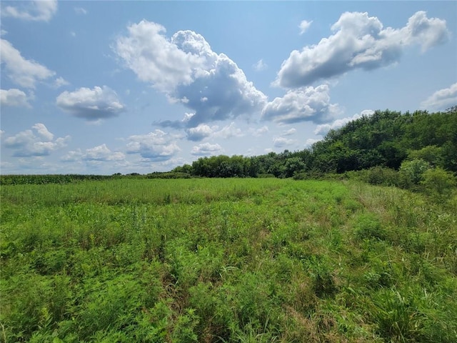2365 John Brown Rd, Princeton, KS 66078 - photo 30