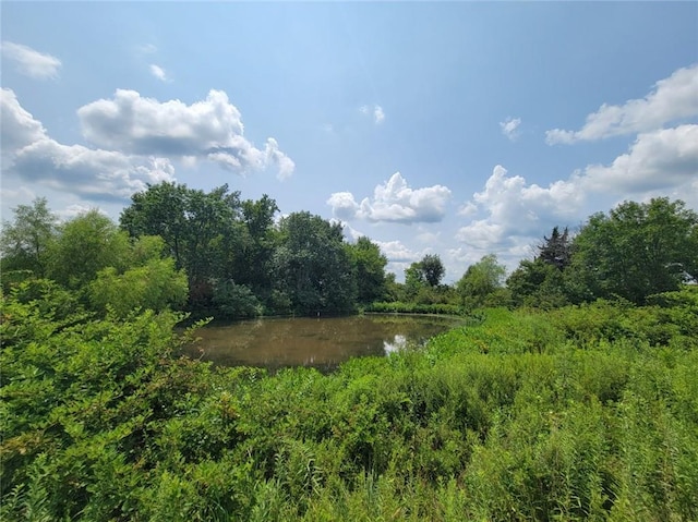 2365 John Brown Rd, Princeton, KS 66078 - photo 34