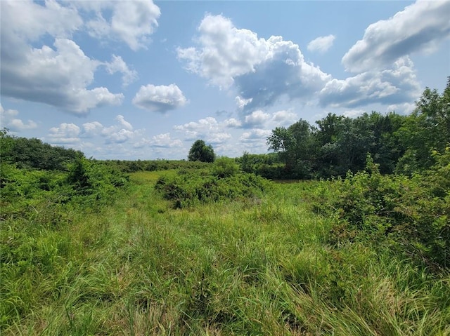 2365 John Brown Rd, Princeton, KS 66078 - photo 36