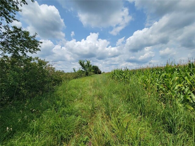 2365 John Brown Rd, Princeton, KS 66078 - photo 37