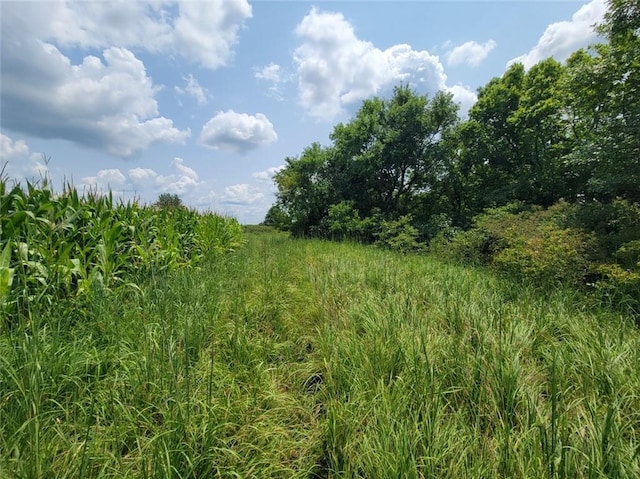 2365 John Brown Rd, Princeton, KS 66078 - photo 38