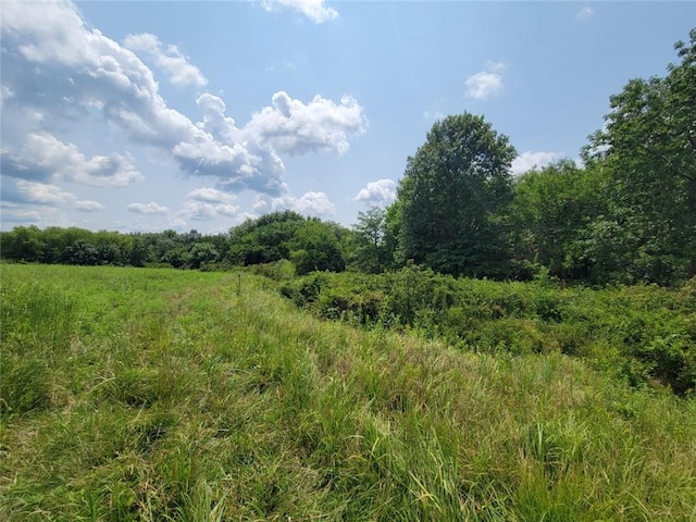 2365 John Brown Rd, Princeton, KS 66078 - photo 39