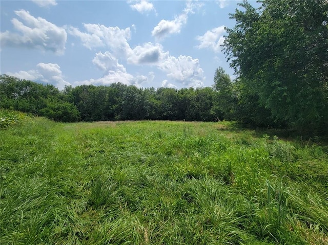 2365 John Brown Rd, Princeton, KS 66078 - photo 41