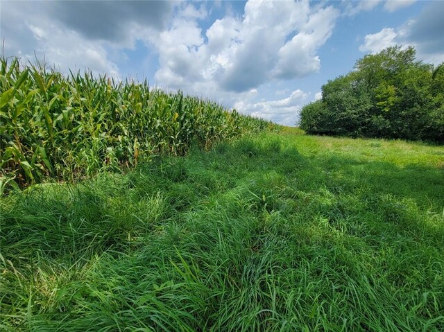 2365 John Brown Rd, Princeton, KS 66078 - photo 43