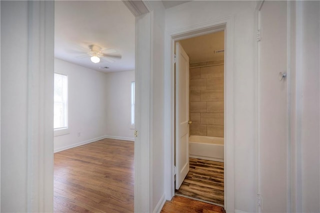 interior space featuring dark hardwood / wood-style flooring