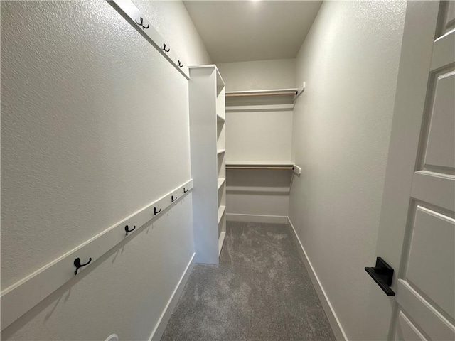 spacious closet with dark carpet