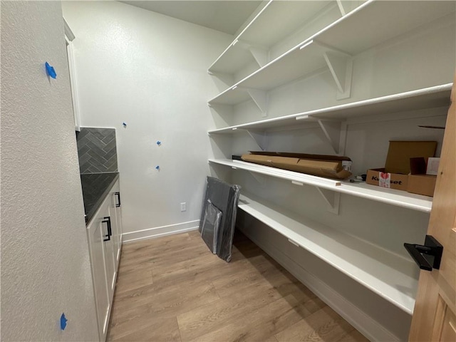 12870 N Champanel Way, Platte City, MO 64079 - view of pantry
