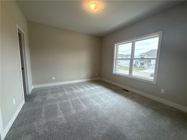 spare room featuring carpet floors