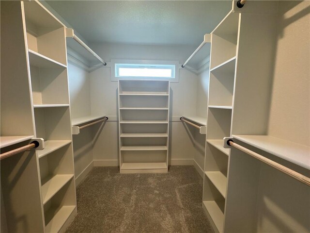 walk in closet with dark carpet