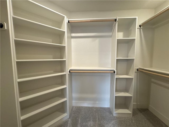 spacious closet with dark carpet