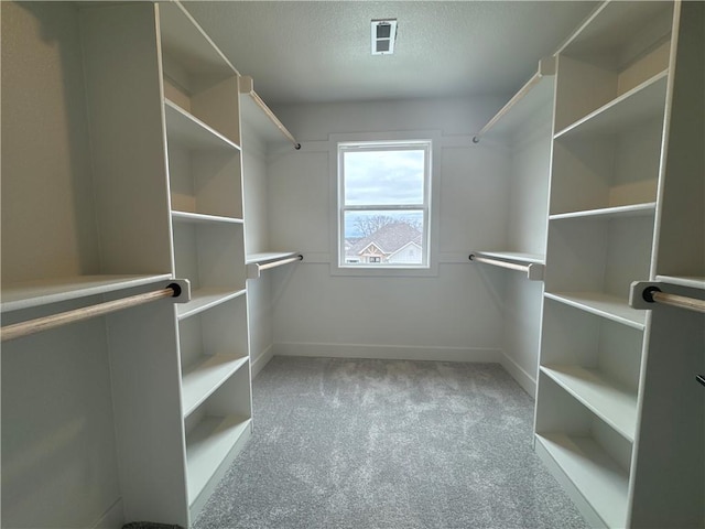 spacious closet with light colored carpet