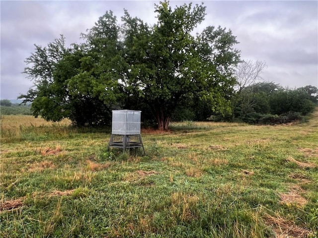 view of yard featuring a rural view