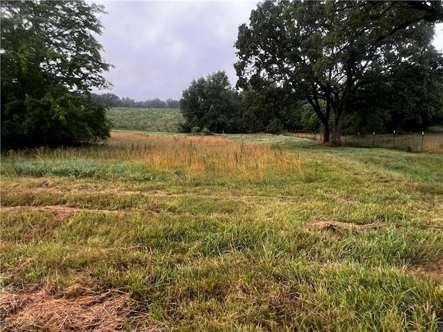 view of local wilderness featuring a rural view