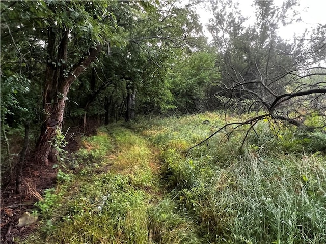 view of local wilderness