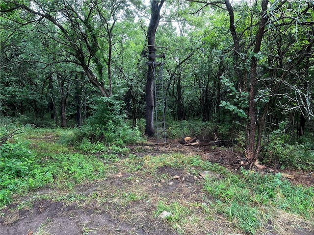 view of landscape