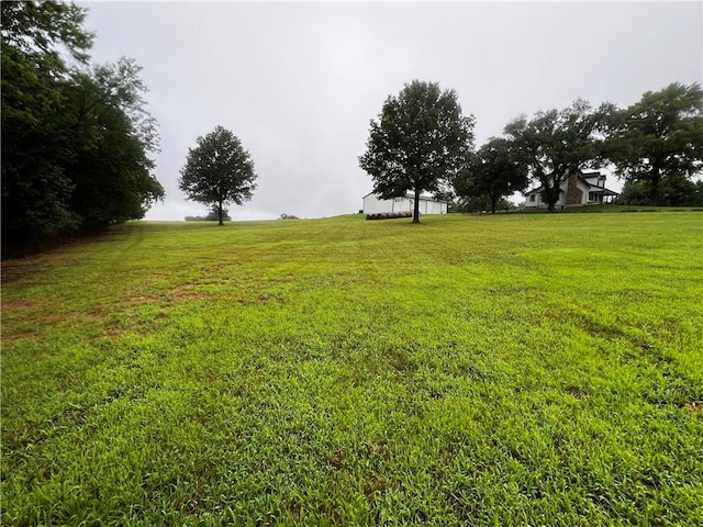 view of yard with a rural view