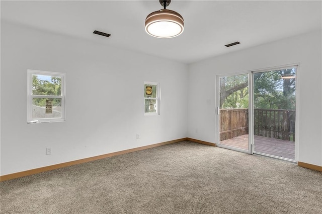 empty room featuring a wealth of natural light and carpet flooring