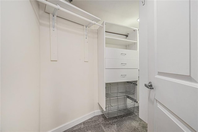 spacious closet featuring carpet flooring