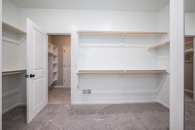 spacious closet with carpet