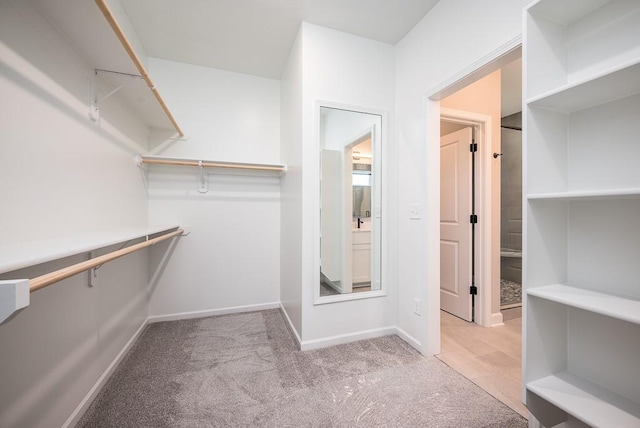 walk in closet with light colored carpet