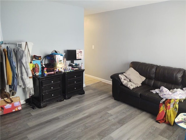 living room featuring hardwood / wood-style floors