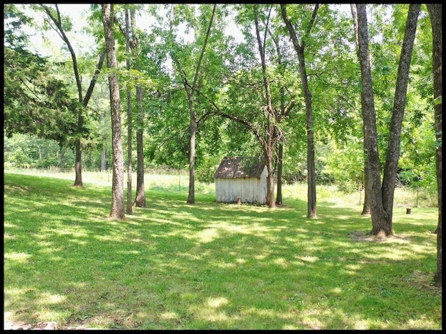 view of yard with a storage shed