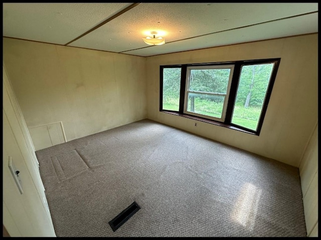 spare room with carpet and a textured ceiling