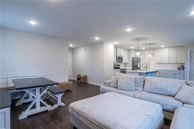 living room featuring dark hardwood / wood-style flooring and sink