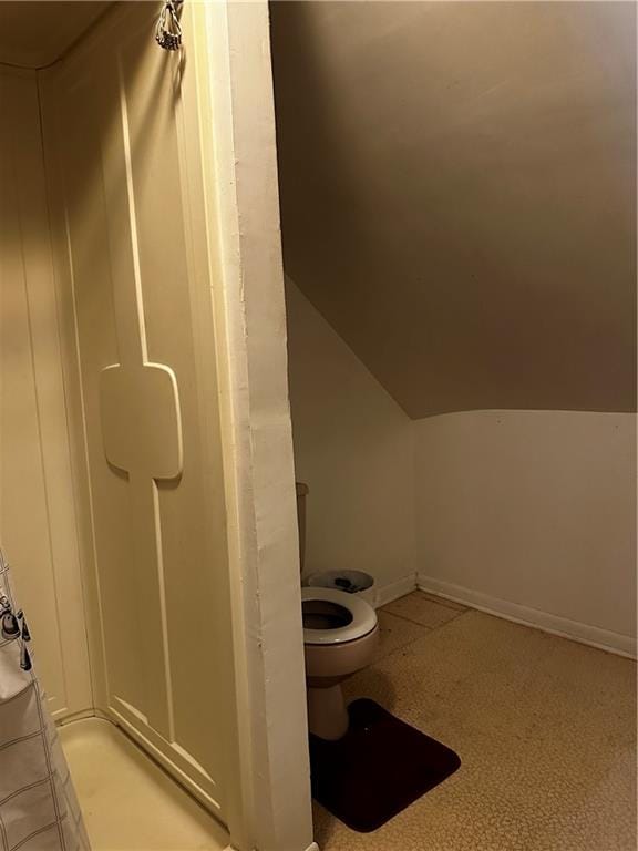 bathroom with toilet and vaulted ceiling