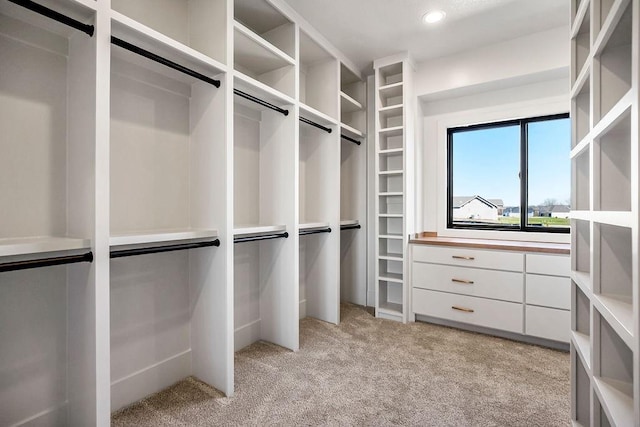 spacious closet featuring light carpet