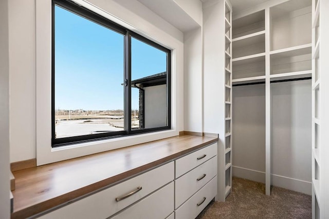 spacious closet with carpet floors