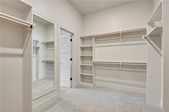24940 W 98th Pl, Lenexa, KS 66227 - walk in closet with carpet