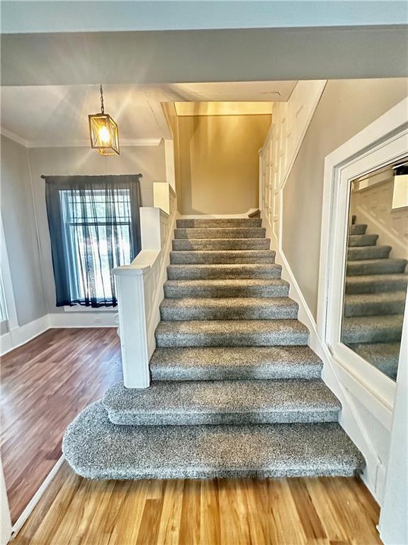 staircase with wood-type flooring and crown molding