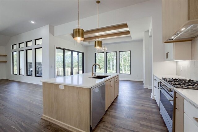 kitchen featuring appliances with stainless steel finishes, dark hardwood / wood-style flooring, a kitchen island with sink, sink, and a chandelier