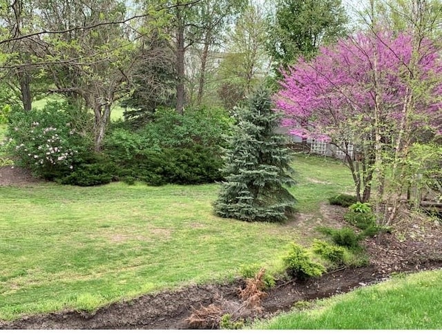 24450 171st St, Leavenworth, KS 66048 - view of yard