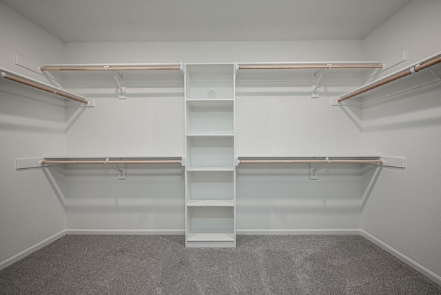 spacious closet featuring carpet floors