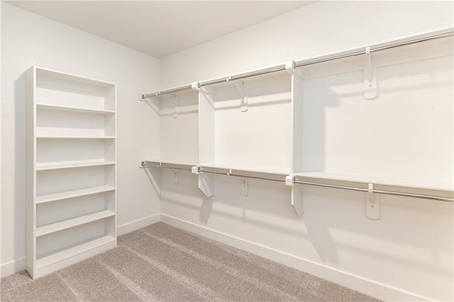 walk in closet featuring light colored carpet