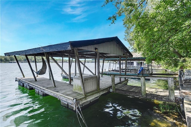 dock area with a water view