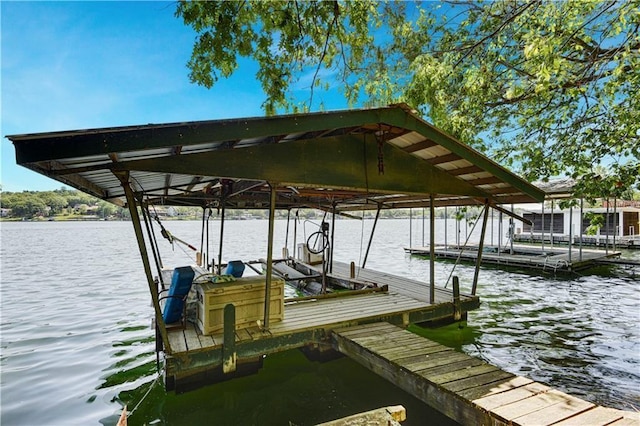 dock area with a water view