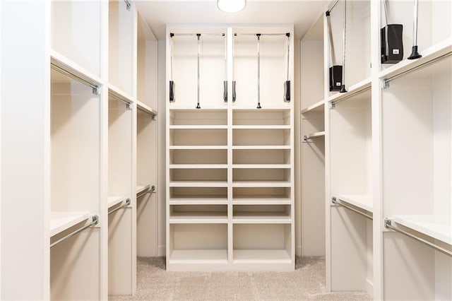 walk in closet with light carpet